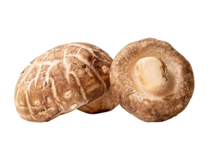 Shiitake
