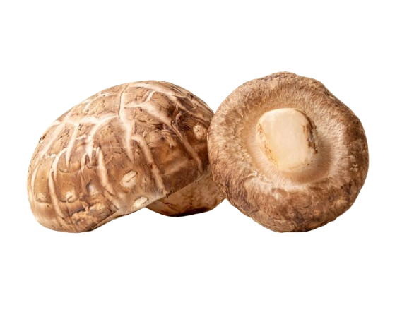 Shiitake